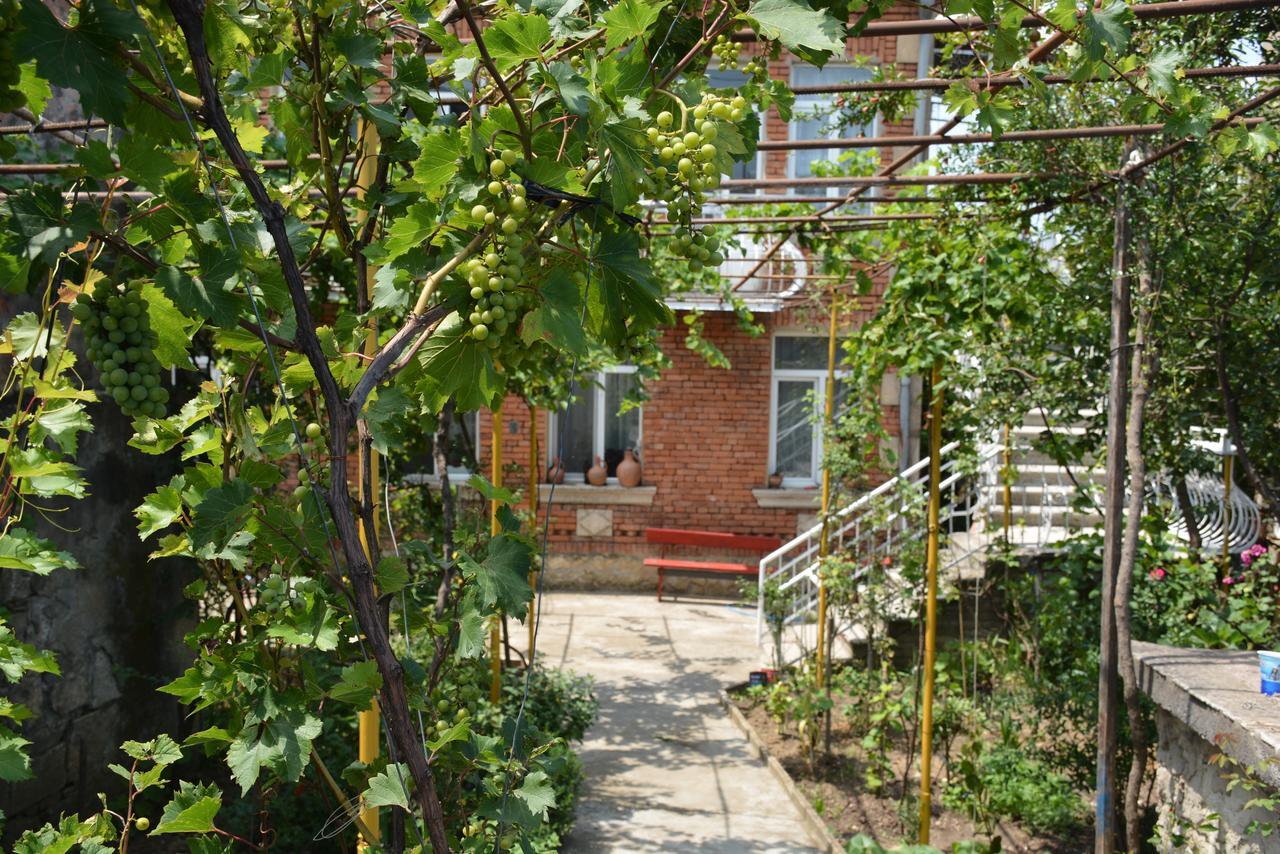 Hotel Friends House Kutaisi Esterno foto