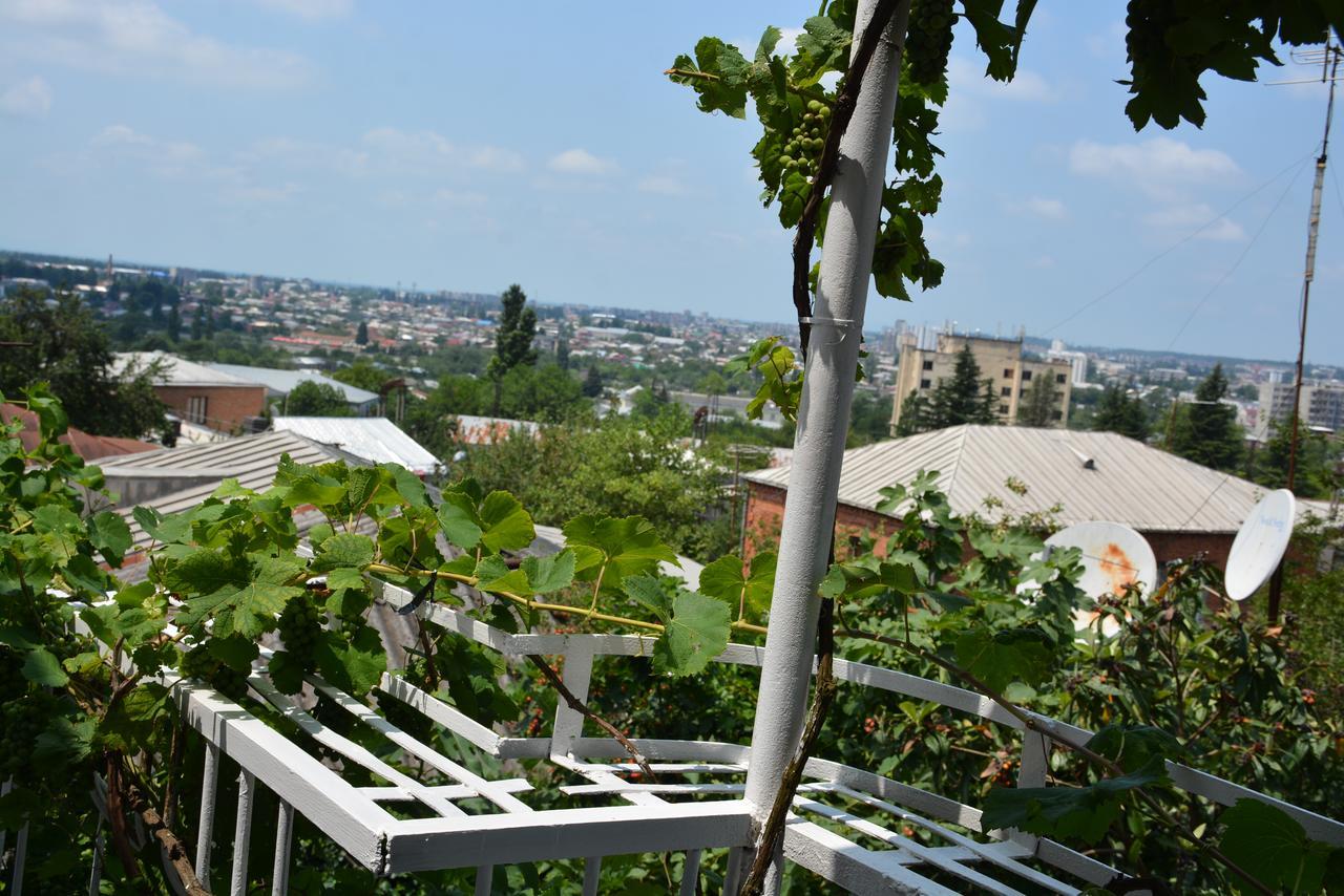 Hotel Friends House Kutaisi Esterno foto